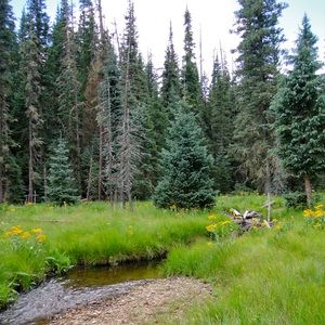 Meet your Posher, Tracy